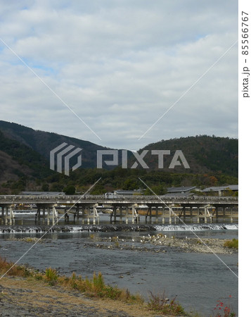 渡月橋、嵐山、小倉山が見える、水面に白く小さく写っているのは白鷺、縦位置 85566767