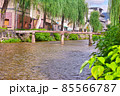京都市東山区の白川に掛かる一本橋を水面から見上げたクローズアップ 85566787