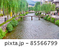 京都市東山区の白川に掛かる一本橋と柳並木の風景 85566799