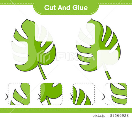 Cut and glue, cut parts of Monstera and glue them. Educational children game, printable worksheet, vector illustration 85566928