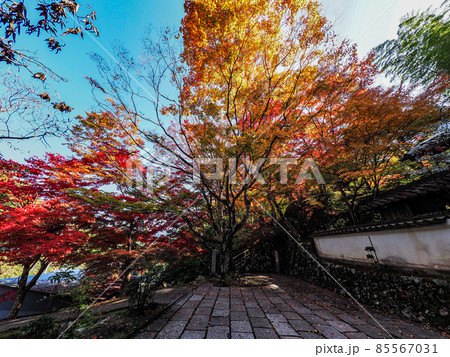 河内長野市の小さなお寺の真っ赤な紅葉 地蔵寺 河内長野市の小さなお寺の真っ赤な紅葉 地蔵寺 85567031