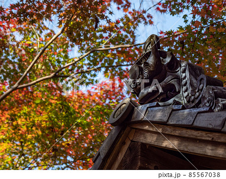 河内長野市の小さなお寺の真っ赤な紅葉 地蔵寺 河内長野市の小さなお寺の真っ赤な紅葉 地蔵寺 85567038