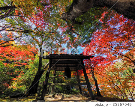 河内長野市の小さなお寺の真っ赤な紅葉 地蔵寺 河内長野市の小さなお寺の真っ赤な紅葉 地蔵寺 85567049