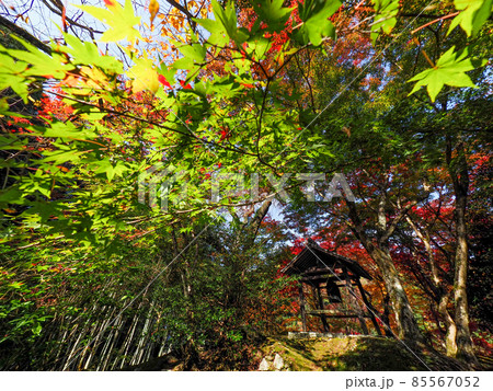 河内長野市の小さなお寺の真っ赤な紅葉 地蔵寺 河内長野市の小さなお寺の真っ赤な紅葉 地蔵寺 85567052