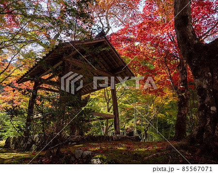 河内長野市の小さなお寺の真っ赤な紅葉 地蔵寺 85567071