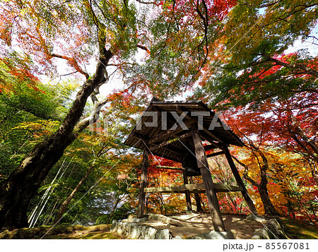 河内長野市の小さなお寺の真っ赤な紅葉 地蔵寺 河内長野市の小さなお寺の真っ赤な紅葉 地蔵寺 85567081