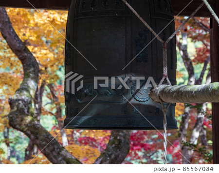 河内長野市の小さなお寺の真っ赤な紅葉 地蔵寺 河内長野市の小さなお寺の真っ赤な紅葉 地蔵寺 85567084
