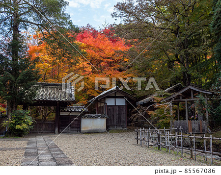 河内長野市の小さなお寺の真っ赤な紅葉 地蔵寺 河内長野市の小さなお寺の真っ赤な紅葉 地蔵寺 85567086