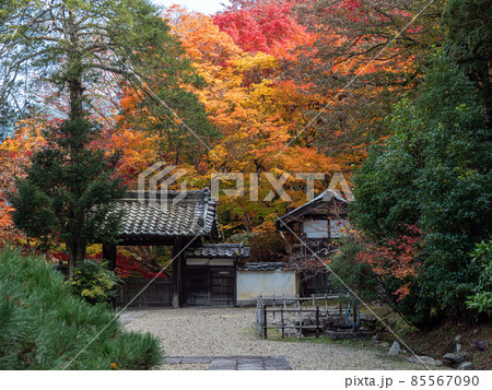 河内長野市の小さなお寺の真っ赤な紅葉 地蔵寺 85567090