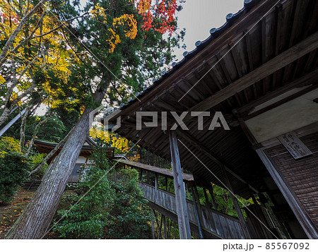河内長野市の小さなお寺の真っ赤な紅葉 地蔵寺 85567092