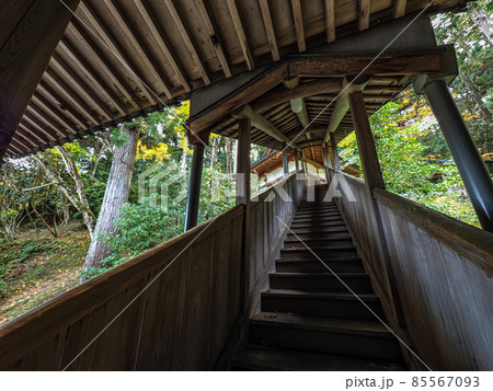 河内長野市の小さなお寺の真っ赤な紅葉 地蔵寺 河内長野市の小さなお寺の真っ赤な紅葉 地蔵寺 85567093