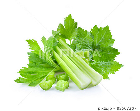 Fresh celery isolated on white background 85567207