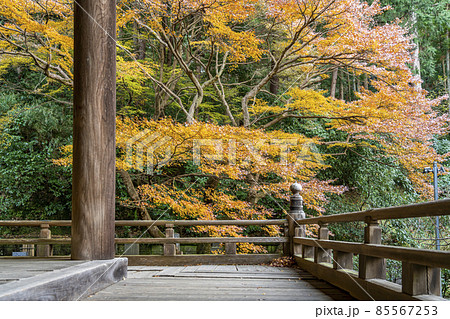 【神奈川県】鎌倉 妙本寺の境内の紅葉 【神奈川県】鎌倉 妙本寺の境内の紅葉 85567253