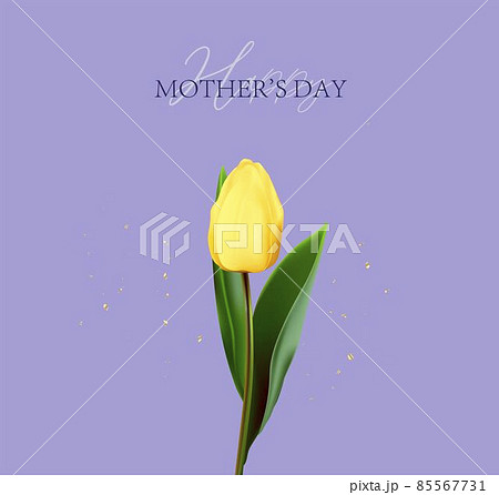 Happy Mother's Day greeting card. Spring cut flowers tulips, festive background. Vector illustration. Women's holiday 85567731