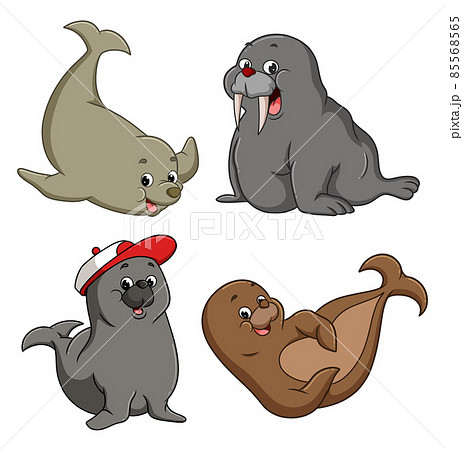 The group of sealsThe couple of seals are enjoying the summer time are smiling and happy playful 85568565