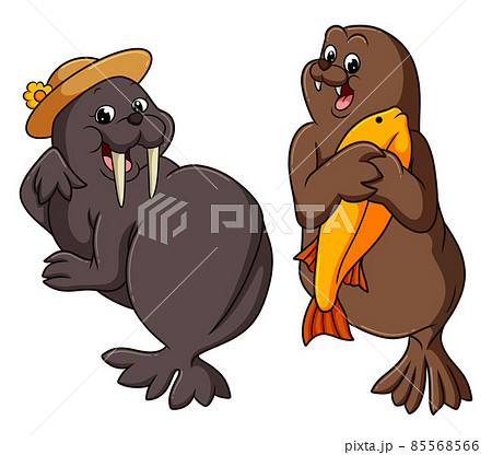 The couple of seals are enjoying the summer time 85568566