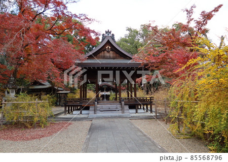 京都市上京区の京都御苑傍にある梨木神社の拝殿と紅葉の風景 京都市上京区の京都御苑傍にある梨木神社の拝殿と紅葉の風景 85568796