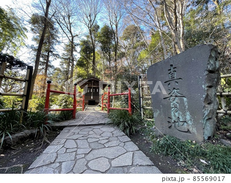 日本の名水100選　東京の名水57選　お鷹の道にある真姿の池 85569017