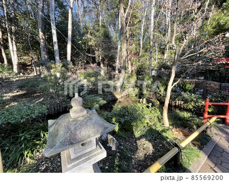 お鷹の道真姿の池　東京の湧き水 85569200