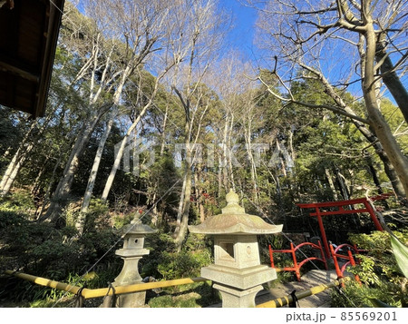 お鷹の道真姿の池　東京の湧き水 85569201