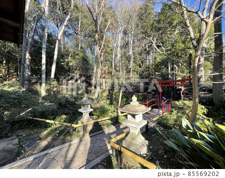 お鷹の道真姿の池　東京の湧き水 85569202