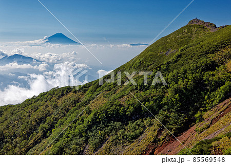 八ヶ岳連峰・横岳から見る富士山 八ヶ岳連峰・横岳から見る富士山 85569548