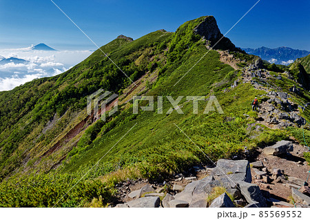夏の八ヶ岳連峰・横岳の岩峰と富士山 85569552