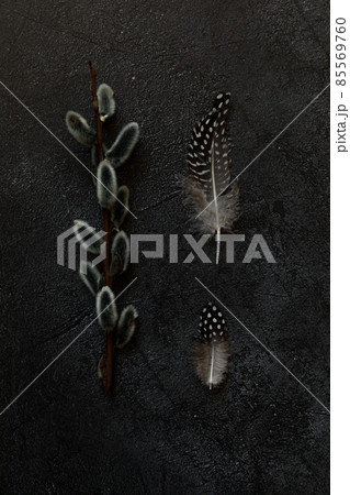 Happy Easter concept. Preparation for holiday. Pussy willow flowers branches, feather on trendy grunge scratched dark black stone shale background. Simple minimalism flat lay top view copy space 85569760