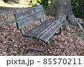 公園の落ち葉と古い木のベンチ 85570211
