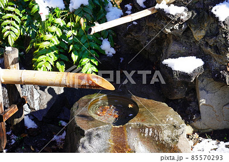 雪の残る彼我庭園 鹿威し ~横浜公園~ 雪の残る彼我庭園 鹿威し ~横浜公園~ 85570293