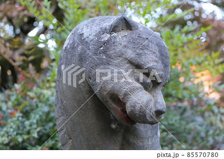 多聞院の狛寅 85570780