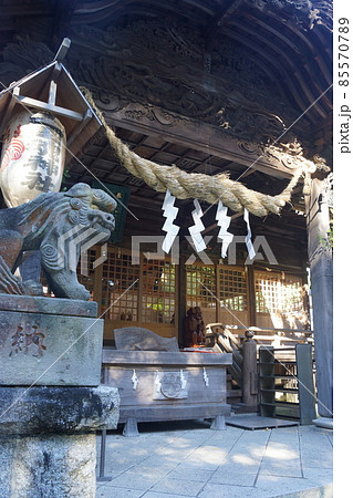 大國魂神社 85570789