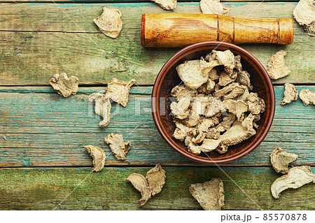 Bryony root, homeopathic herbs 85570878