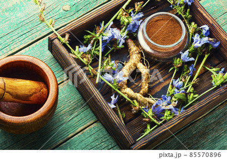 Healing herbs in herbal medicine Healing herbs in herbal medicine 85570896