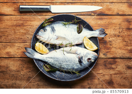 Fresh raw dorado fish. Fresh raw dorado fish. 85570913