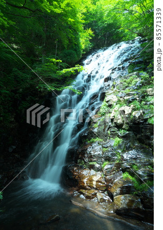 真夏の布滝の風景3　岡山県津山市阿波 85571339