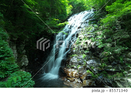 真夏の布滝の風景2 岡山県津山市阿波 真夏の布滝の風景2 岡山県津山市阿波 85571340