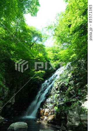 真夏の布滝の風景11 岡山県津山市阿波 真夏の布滝の風景11 岡山県津山市阿波 85571365