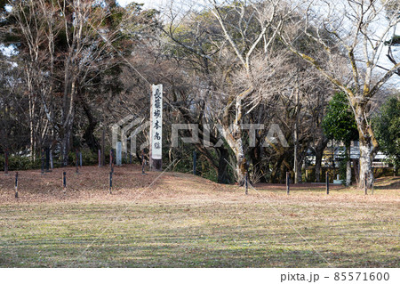 長篠城跡・本丸跡 長篠城跡・本丸跡 85571600