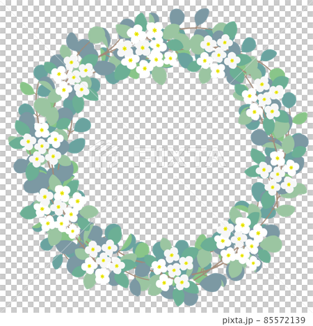 一個簡單的桉樹和香雪花圈的插圖 85572139