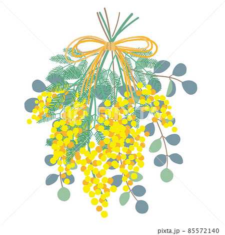 ナチュラルなミモザとユーカリのスワッグのイラスト 85572140