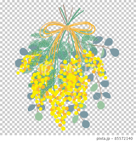 Illustration of natural mimosa and eucalyptus swag 85572140
