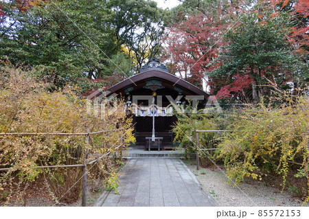 京都市上京区の京都御苑傍にある梨木神社の本殿と紅葉の風景 85572153