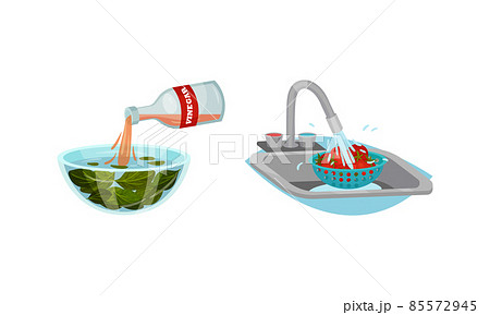 Washing Tomato with Tap Water and Pouring Vinegar in Bowl with Greenery as Vegetable Cooking Process Vector Set. 85572945