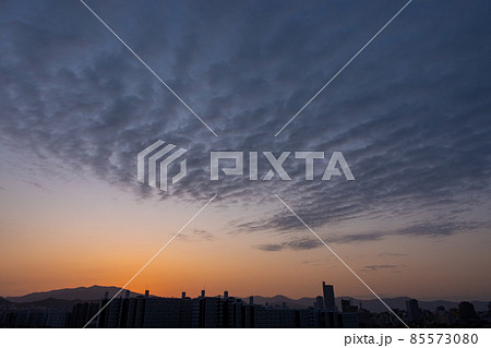 《広島市》日の出前 《広島市》日の出前 85573080