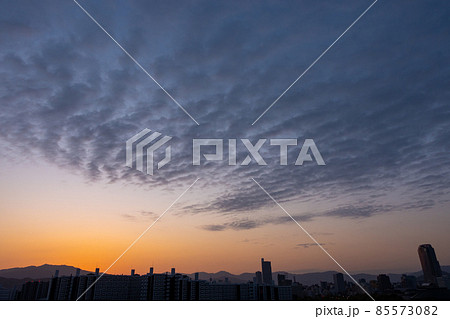 《広島市》日の出前 《広島市》日の出前 85573082