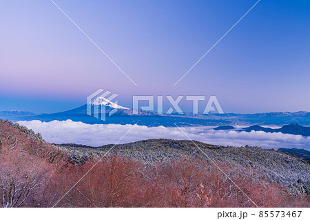 （静岡県）雲海・降雪した達磨山高原から望む富士山 85573467