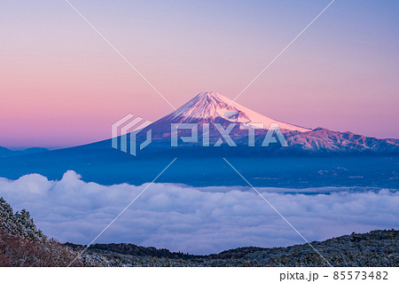（静岡県）雲海・降雪した達磨山高原から望む富士山 85573482