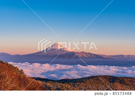 (静岡県)雲海・降雪した達磨山高原から望む富士山 (静岡県)雲海・降雪した達磨山高原から望む富士山 85573488