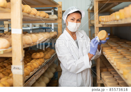 Woman in protective mask checking quality of cheese in cheese dairy. Woman in protective mask checking quality of cheese in cheese dairy. 85573618